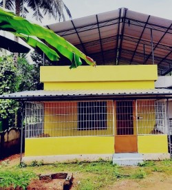 House for rent in Nellikunnu