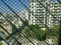 2 BHK flat in MG Road Porbandar