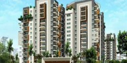 3 BHK flat in JP Nagar Phase 7 Bangalore