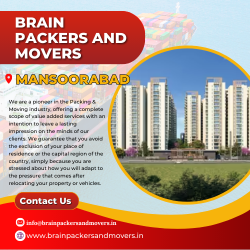 Brain Packers and Movers