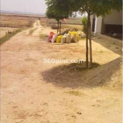 Plot/ Land in Bagha Gara Gorakhpur
