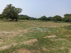 रामजानकी नगर गोरखपुर मे प्लाट / जमीन