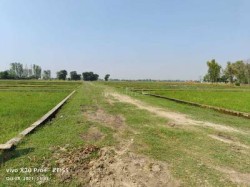Plot/ Land in Faizabad Road Lucknow