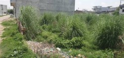 Plot/ Land in Shaheed path Lucknow
