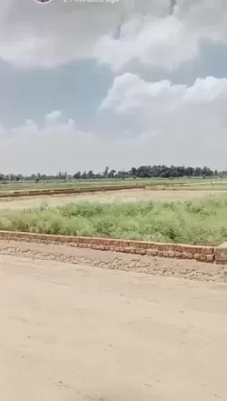 Plot/ Land in Faizabad Road Lucknow