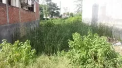 Plot/ Land in Maheshpur Varanasi
