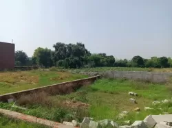 ग्रेटर नॉएडा नोएडा  मे प्लाट / जमीन