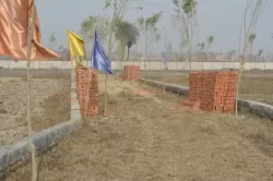 ग्रेटर नॉएडा नोएडा  मे प्लाट / जमीन