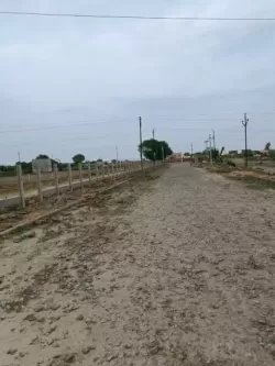 जेवर नोएडा  मे प्लाट / जमीन