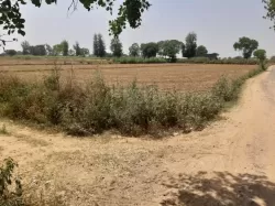 जेवर नोएडा  मे प्लाट / जमीन