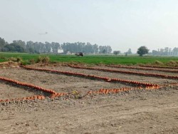 जेवर एयरपोर्ट नोएडा  मे प्लाट / जमीन
