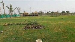 Plot For Sale in The Lake Countryside Farms, Yamuna Expressway