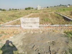 Plot/ Land in jhusi Allahabad