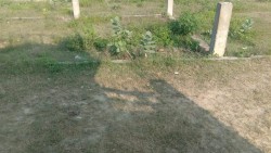 Plot/ Land in Phaphamau Allahabad