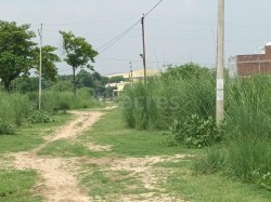 Plot/ Land in Jhalwa Allahabad
