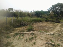 Plot/ Land in Jhalwa Allahabad