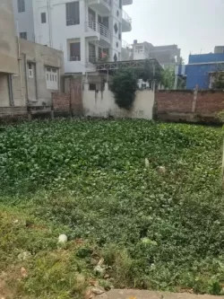 दानापुर पटना  मे प्लाट / जमीन