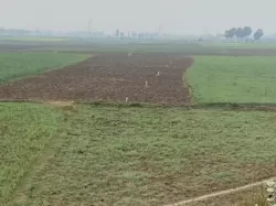 Plot/ Land in Kumhrar Patna