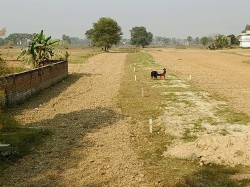 Plot/ Land in Sonepur Patna