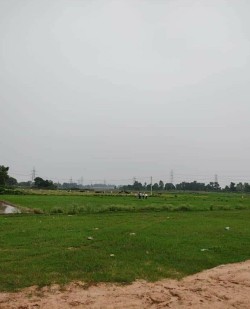 Plot/ Land in Kanhauli Patna