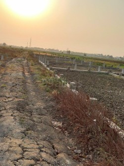 Plot/ Land in Bairiya Patna