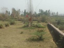 Plot/ Land in Mandhana Kanpur
