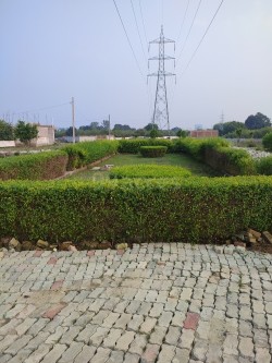 Plot/ Land in Singhpur Kanpur