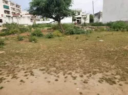 Plot/ Land in Sirsi Road Jaipur