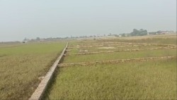 Plot/ Land in Kalesar Gorakhpur