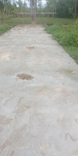 Plot/ Land in Roshanabad Haridwar