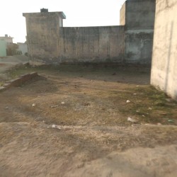 Plot/ Land in Roshanabad Haridwar