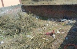 Plot/ Land in Haripur Kalan Haridwar