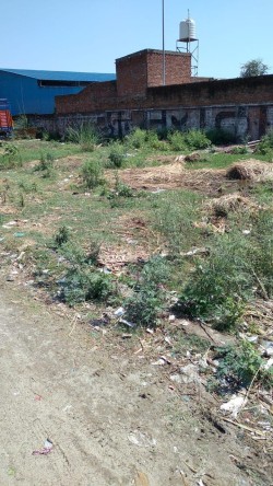 Plot/ Land in Sidcul Haridwar