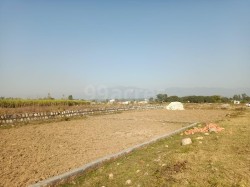Plot/ Land in Roshanabad Haridwar