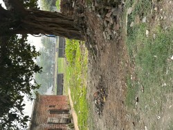 Plot/ Land in Ayodhya City Ayodhya