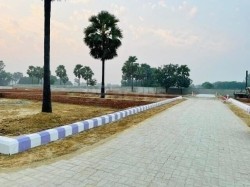 Plot/ Land in Deokali Ayodhya
