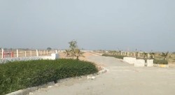 Plot/ Land in Jewar Noida