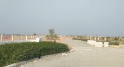 जेवर नोएडा  मे प्लाट / जमीन