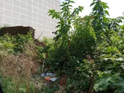 किशनपुर देहरादून  मे प्लाट / जमीन