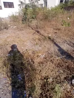 जखन  देहरादून  मे प्लाट / जमीन