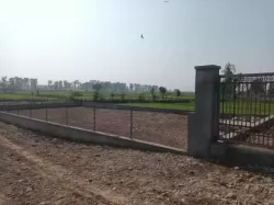 भाऊवाला  देहरादून  मे प्लाट / जमीन