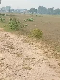 सेक्टर 98 गुडगाँव  मे प्लाट / जमीन