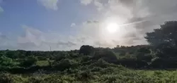 Plot/ Land in Aldona Goa
