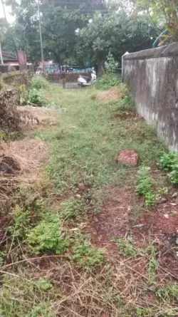 Plot/ Land in Colvale Goa