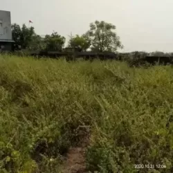 Plot/ Land in Bambolim Goa