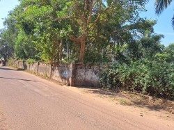 Plot/ Land in Arpora Goa