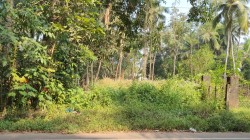 Plot/ Land in Carmona Goa
