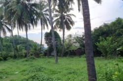 Plot/ Land in Davorlim Goa