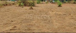 Plot/ Land in Pernem Goa