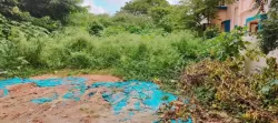 Plot/ Land in Vidyaranyapura Bangalore